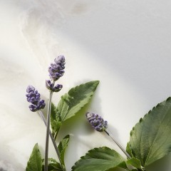 Rituals Trial Set пробный набор