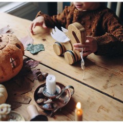 Kinderfeets Bambus Ziehtier Schwan Лебедь из бамбука