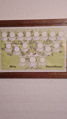 Картина винтажная "Мое генеалогическое древо", в деревянной раме, 47 x 33 см, Германия, 1960-1970гг. 