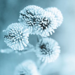 Polaar ICYMAGIC Augen Roll-On  ICYMAGIC Eye Roll-On