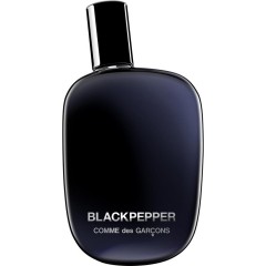 Comme des Garcons (Ком де Гарсон) Blackpepper Eau de Parfum Парфюмерная вода Spray Спрей, 100 мл