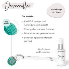 FACES OF FEY Microneedlingset Basic Hyaluron 0,25mm Набор для микронидлинга Basic Hyaluron 0,25 мм