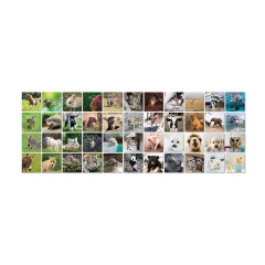 Remember Gedachtnisspiel 44 „Tierbabies“ in der Magnetbox