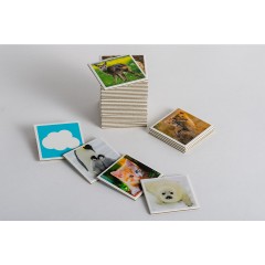 Anaconda Verlag Tierkinder-Memo Памятка детям о животных